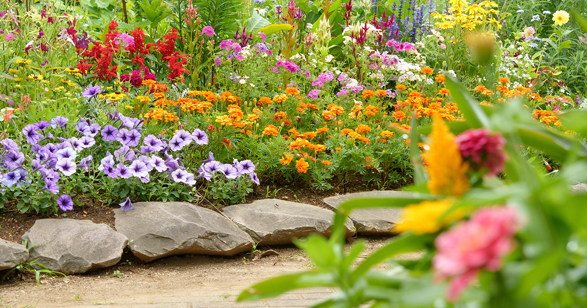 how-to-control-and-prevent-garden-pests
