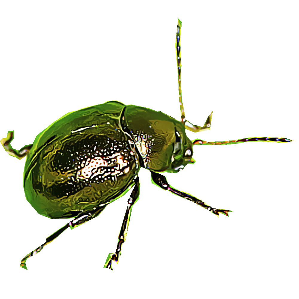 flea-beetles