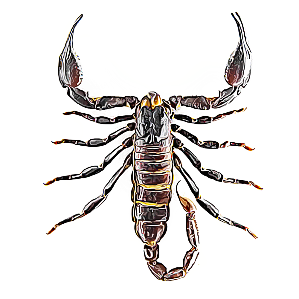 scorpions