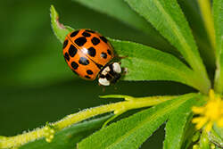 shutterstock_1497968612_web