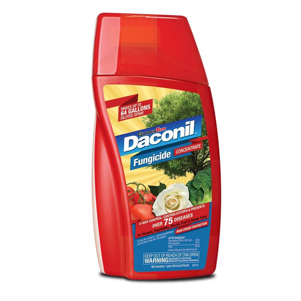 Daconil-Fungicide-Concentrate-16-oz