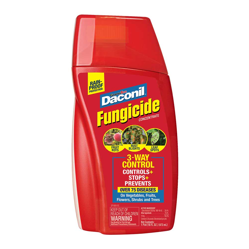 DG146-Daconil-Fungicide-Concentrate-1-Pint-01