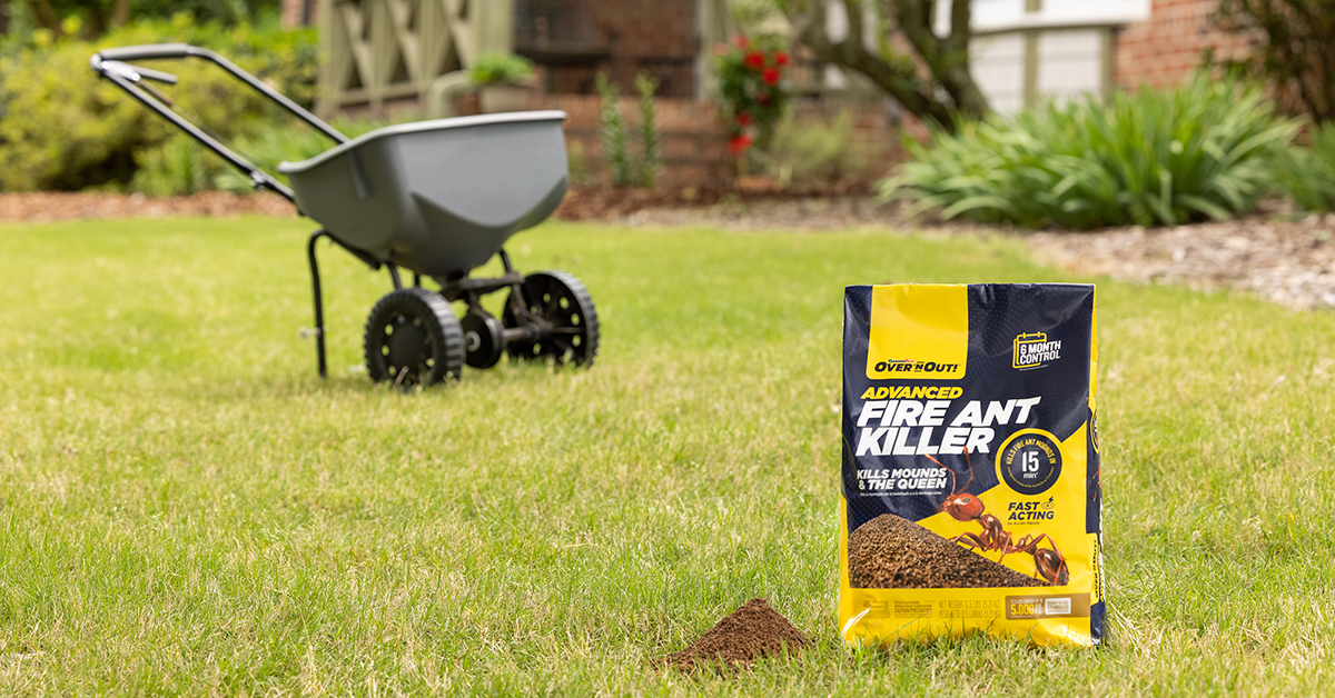 simple-effective-fire-ant-control