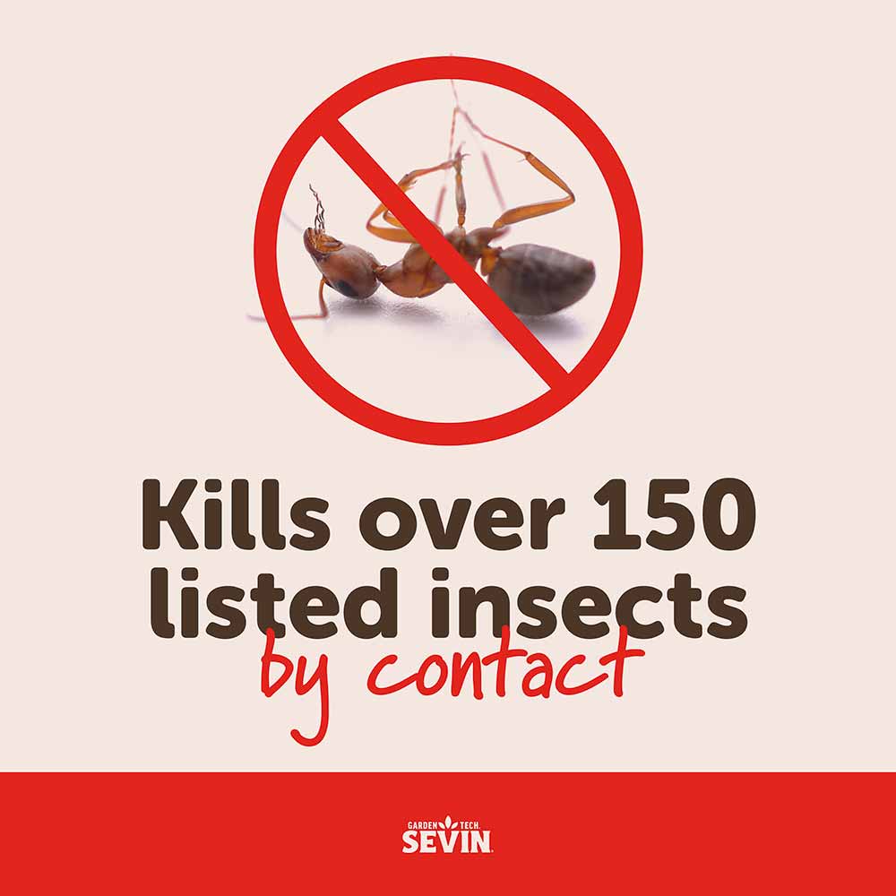 sevin-Insect-killer-dust-7