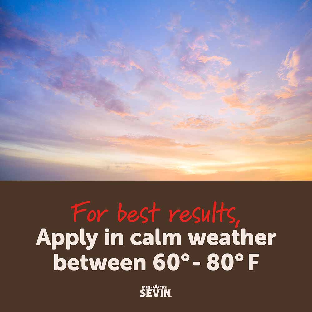 sevin-Insect-killer-dust-9