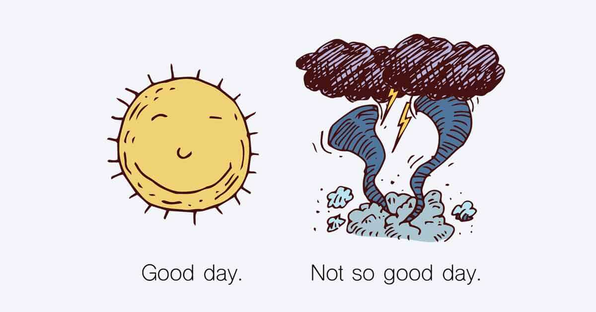 How to Use Sevin Insect Killer Granules