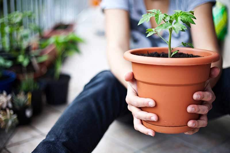 https://www.gardentech.com/-/media/project/oneweb/gardentech/images/blog/growing-vegetables-and-other-edibles-in-containers/container-garden-hands.jpg