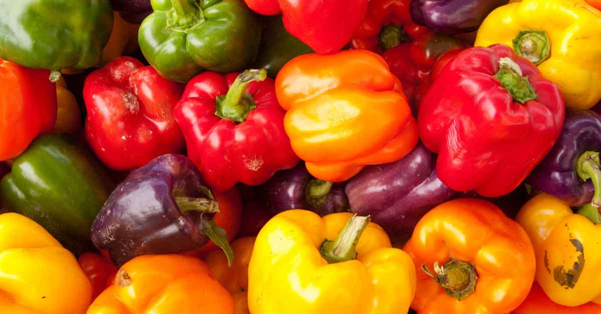 How to Grow Bell Peppers - Planting and Growing Bell Peppers