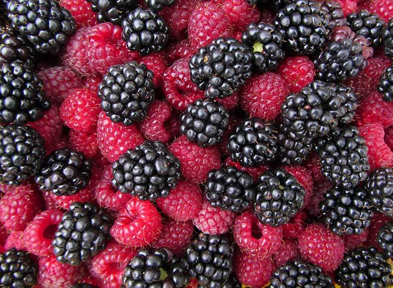 Black raspberries and blackberries are both delicious fruits that belong to the Rubus genus in the Rosaceae family. While they may share a similar dark color and sweet taste, there are several key differences that set them apart.