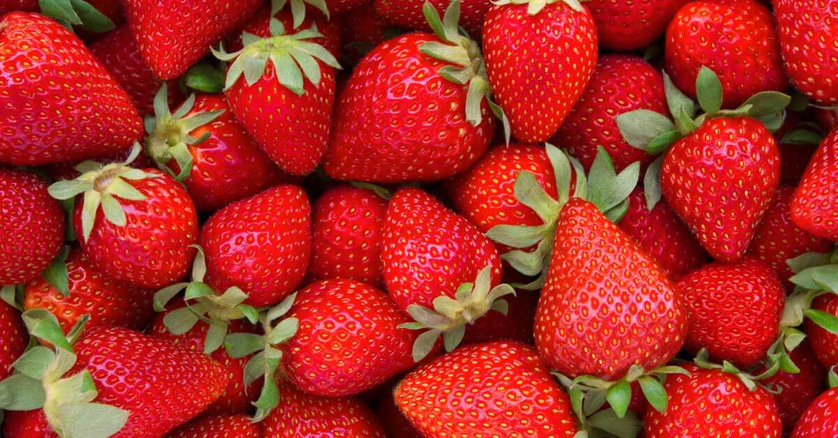 https://www.gardentech.com/-/media/project/oneweb/gardentech/images/blog/how-to-grow-your-own-tasty-strawberries/strawberries-header-og.jpg