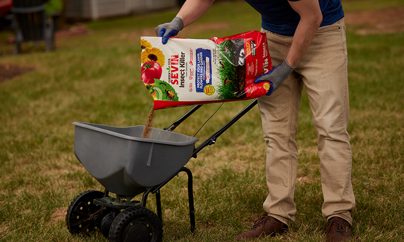 granular insect control with spreader