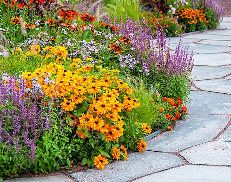 How To Start A Flower Garden