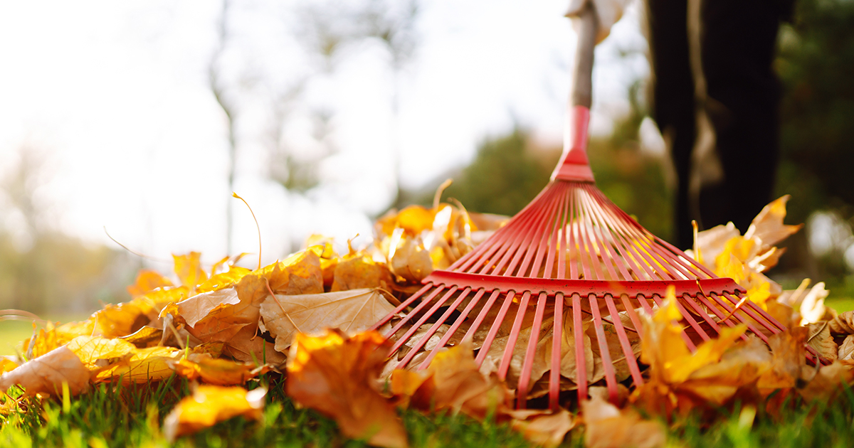 how to stop spring insects before they start
