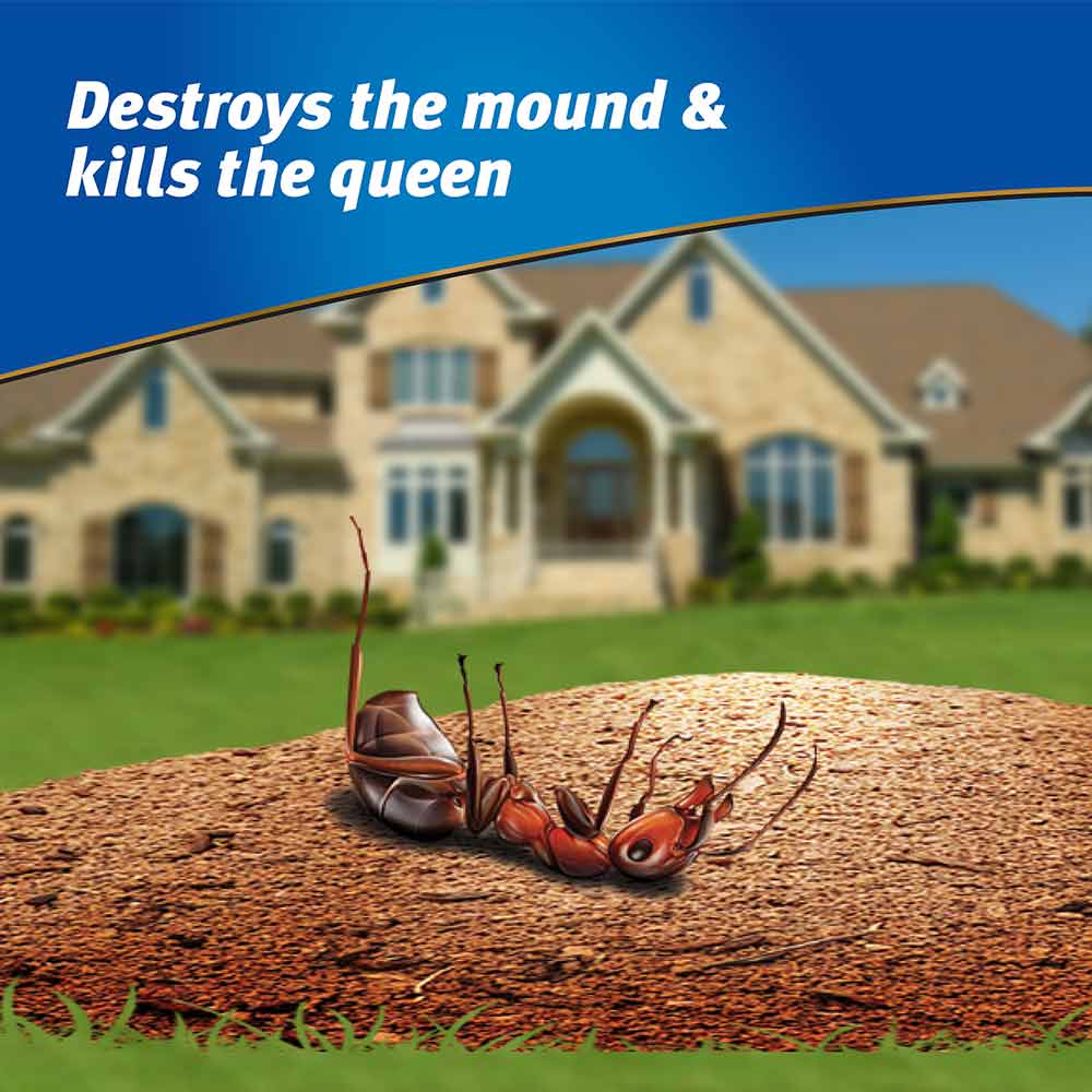 destroy-queen
