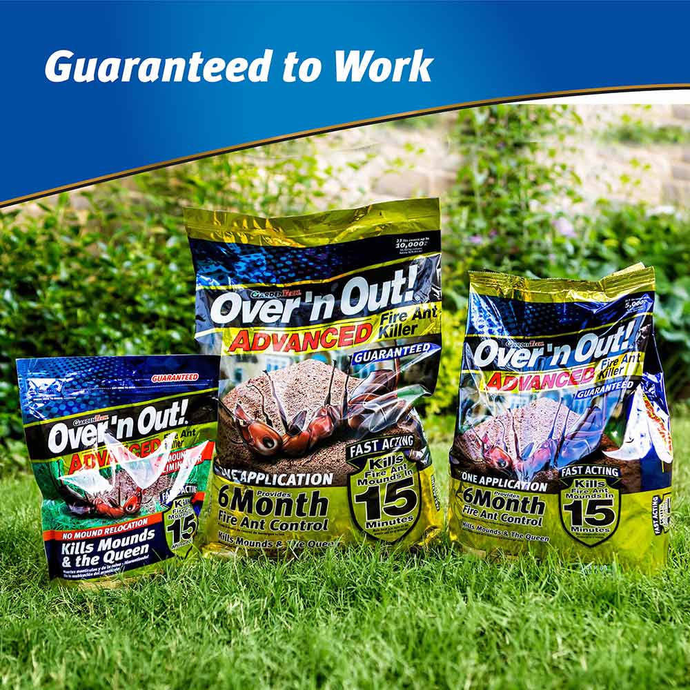 guaranteed-to-work-ant-killer