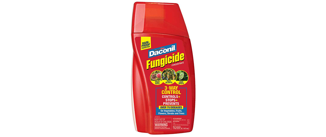 GardenTech Daconil Concentrated Liquid Fungicide 16 oz