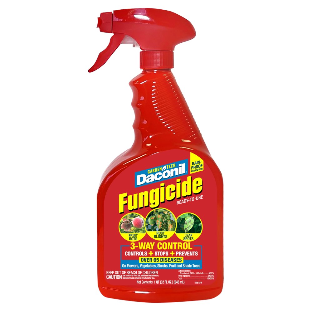 daconil fungicide ready to use