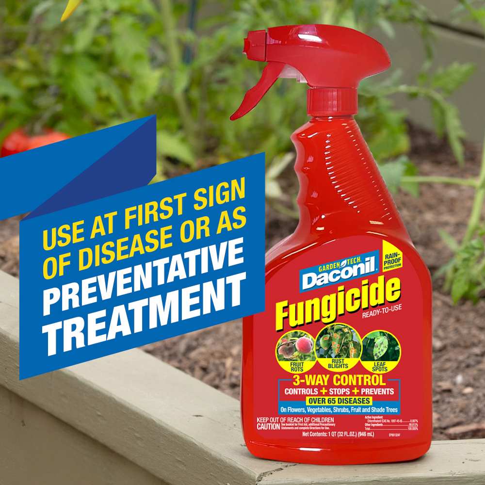 daconil fungicide ready to use