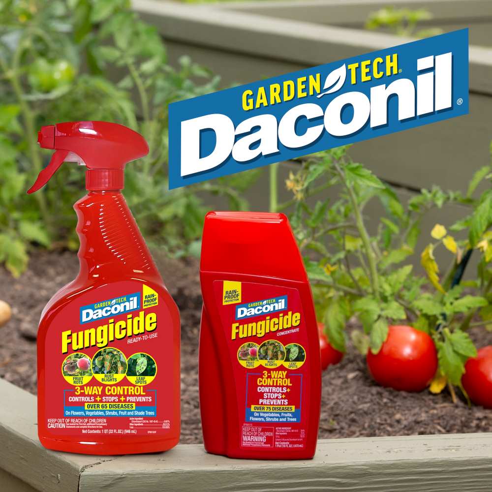 daconil fungicide ready to use