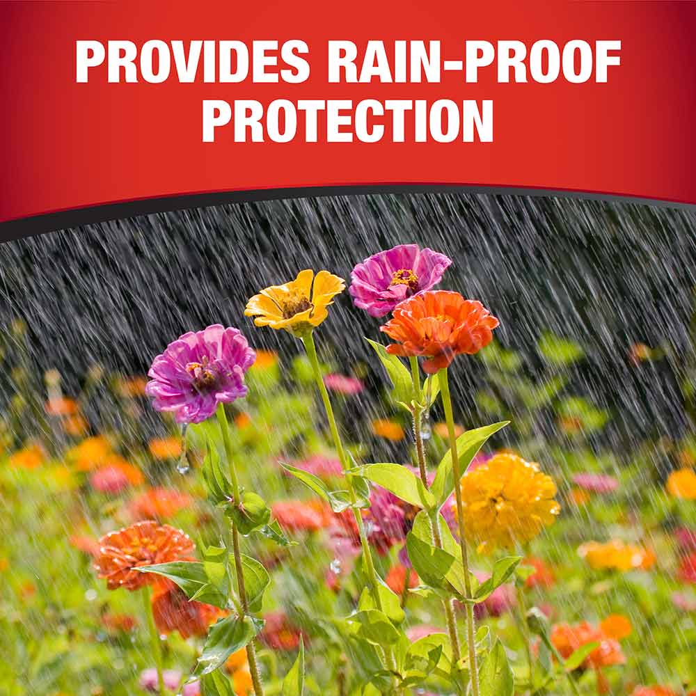 rain-proof-fungus-protection