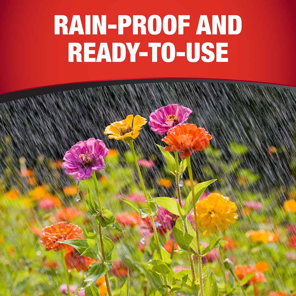 rain-proof-ready-to-use-fungicide