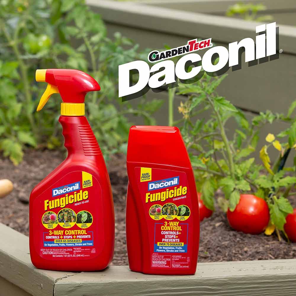 fungicide-product