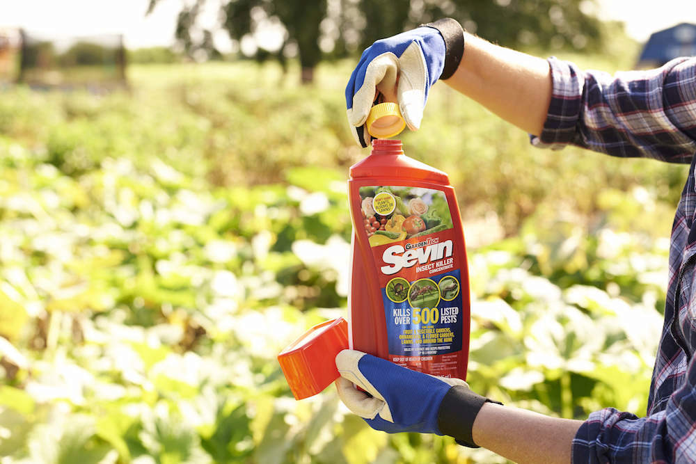 Daconil Fungicide Concentrate Mixing Instructions