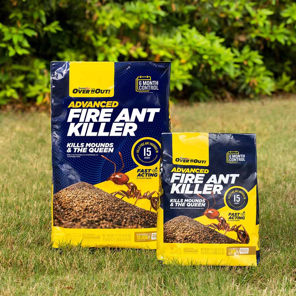 best-fire-ant-killers