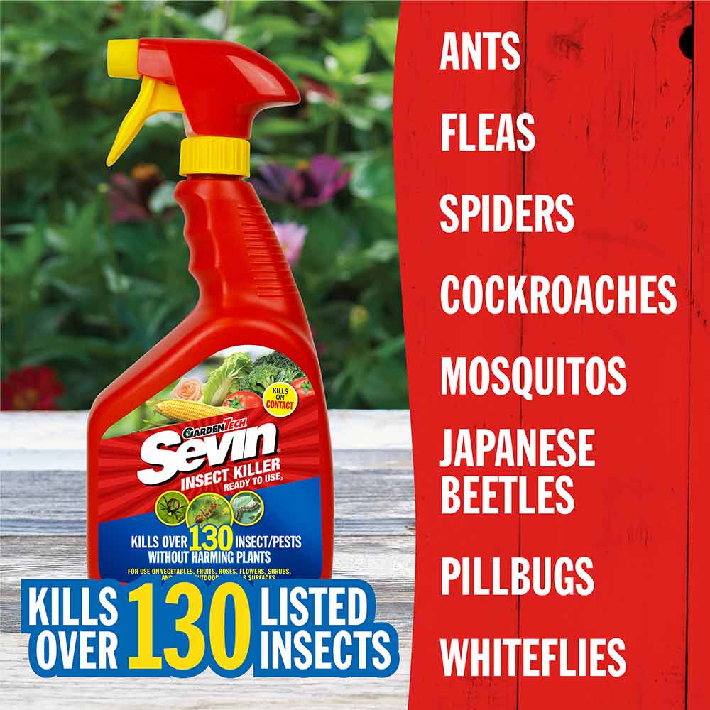 kill-outdoor-insects