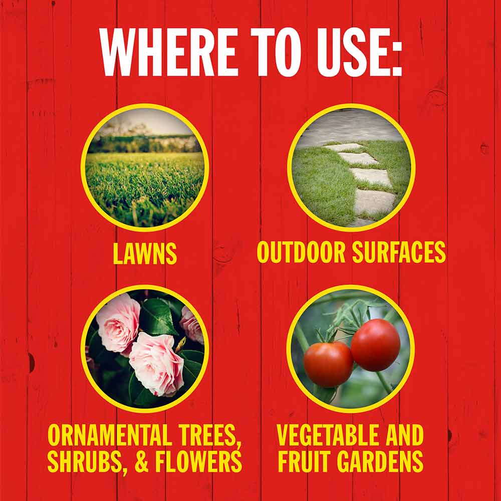 insect-killer-for-outdoor-plants