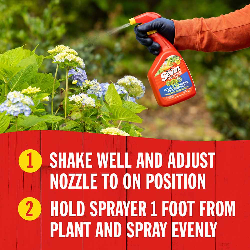 best-outdoor-insect-killer