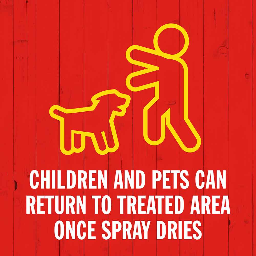 insect-killer-safe-for-pets-and-children