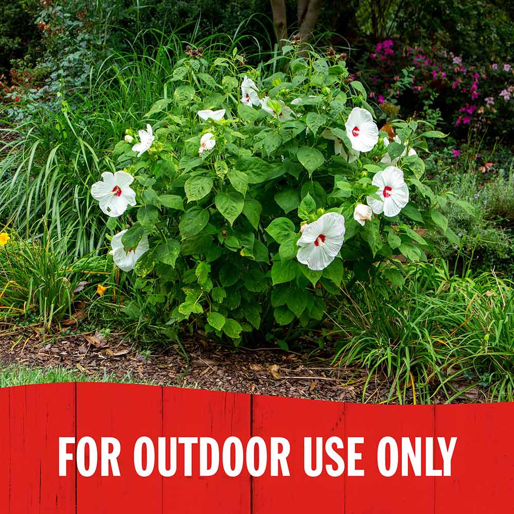 outdoor-insect-killer