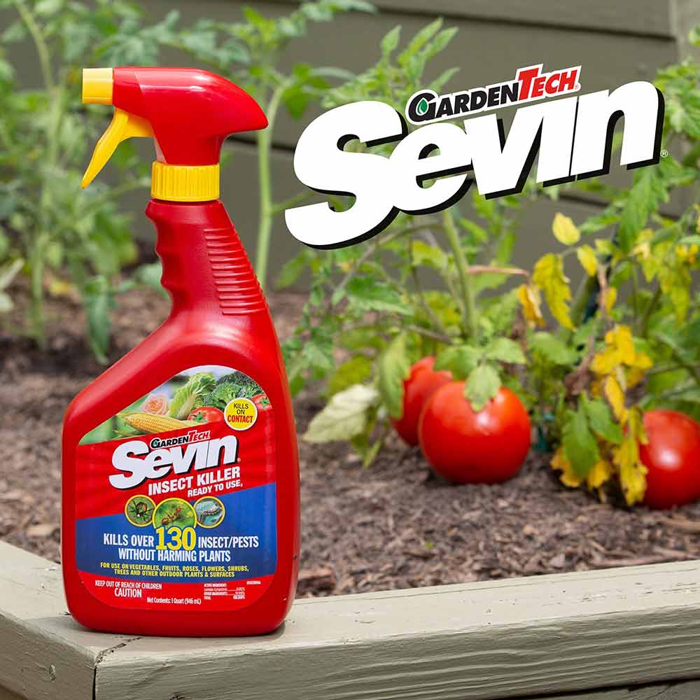 ready-to-use-insect-killer