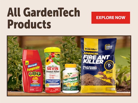 Homepage_AllGTProducts_480x360