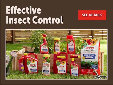 Homepage_SevinFeature_480x360