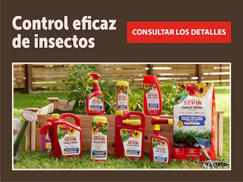 Homepage_SevinFeature