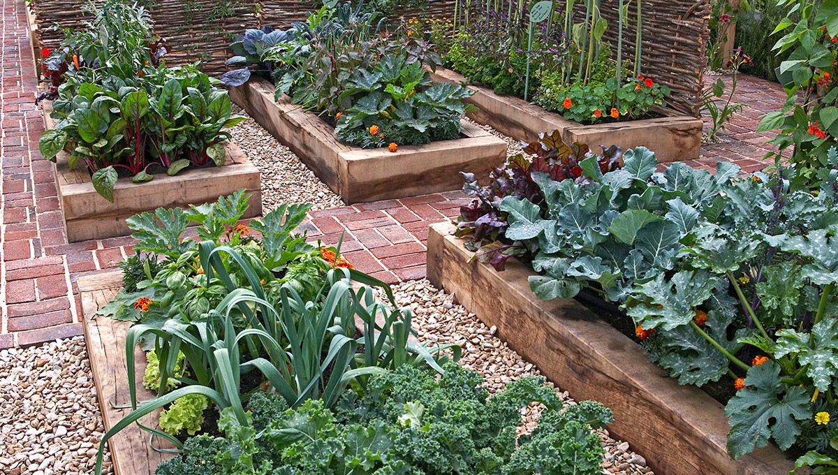 How to Vegetable Garden: Master Your Green Thumb